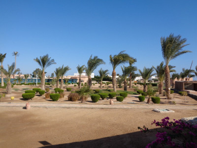 Impressionen Fahrt nach Kairo Impressionen Fahrt nach Kairo