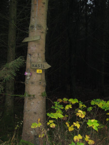 Der Kastler Wald Der Kastler Wald