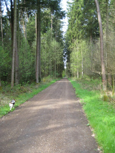 Der Kastler Wald Der Kastler Wald