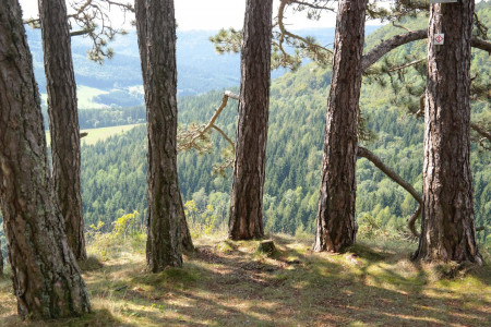 Schwäbische Alb Schwäbische Alb